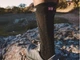 Высокотехнологические беговые безшовные носки Pro Racing Socks V4.0 Trail, Black, T3 (41-44) - изображение 2