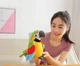 Интерактивная игрушка-повторюшка говорящий Попугай Parrot Talking с микрофоном и записывающим устройством, Green - изображение 3