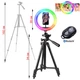 Набор блогера 3в1 A-Plus кольцевая лампа 20см RGB+штатив 1.02м +пульт+микрофон петличка - изображение 2