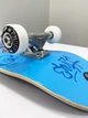 Скейтборд трюковий Enuff Skully Blue 7.75'' (alt212) - зображення 6