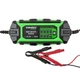 Зарядний пристрій для свинцево-кислотних АКБ портативний Winso Pro 6/12V, 4A 8LEDs TR_139310 - зображення 1