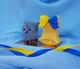 Сувенирное мыло подарки на День учителя "Сова+Колокольчик" - изображение 1
