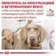 Сухой корм Royal Canin Anallergenic Small Dog - ветеринарная диета для собак малых пород склонных к аллергии - изображение 2