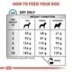 Сухой корм Royal Canin Anallergenic Small Dog - ветеринарная диета для собак малых пород склонных к аллергии - изображение 3