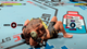 Игра Sony PlayStation 5 UFC 5 Английская Версия - изображение 7
