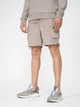 Спортивные шорты мужские 4F Shorts Cas M053 4FSS23TSHOM053-83S M Бежевые (5904698191277) - изображение 1