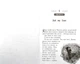 Школа Добра і Зла. Кристал часу. Книга 5 - изображение 5
