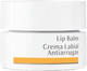 Бальзам для губ Dr Hauschka Lip Balm Anti-wrinkle 4.5 ml (42239550) - зображення 1