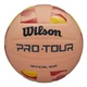 Волейбольний М'яч Wilson Pro Tour VB Stripe (WV2000501IBOF) 5 - изображение 1