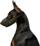 Намордник из сетки для собак WAUDOG Pro пластиковый фастекс S 14-20 см Хаки (689531Collar) - изображение 3