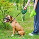 Поводок-рулетка для собак WAUDOG R-leash с контейнером для пакетов светоотражающая лента L до 40 кг 5 м Зеленый (262918Collar) - изображение 7