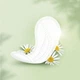 Женские ежедневные прокладки Naturella Light Ромашка 52 шт - изображение 2