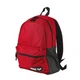 Рюкзак Arena TEAM BACKPACK 31 червоний Уні 46 x 31 x 16 002481-400 - зображення 1