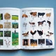 Ілюстрований словник Bilingual Visual Dictionary Japanese-English 6000 Key words - зображення 6