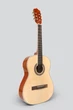 Гитара классическая 4/4 Deviser L-310 NT - изображение 2