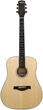 Акустична гітара Fiesta FD410 Natural Satin - зображення 1