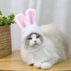 Шапка з вушками Bunny S\M White - зображення 4