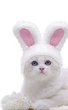 Шапка з вушками Bunny S\M White - зображення 8