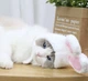 Шапка з вушками Bunny S\M White - зображення 9
