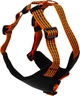 Нагрудник Lucky Pet Микс 32-48 см/40-50 см Черно-оранжевый (4820268555854) - изображение 1