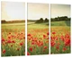 Модульная картина из 3 частей в гостиную спальню Природа Маковое Поле Art-187_XXL 100х150 см - изображение 1