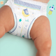 Pieluchomajtki Pampers Night Pants Rozmiar 3 (6-11 kg) 29 szt (8006540234679) - obraz 3