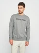 Світшот чоловічий Calvin Klein Jeans 11193.2 L Сірий - зображення 1