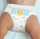 Pieluchomajtki Pampers Pants Maxi Plus Rozmiar 4 (9-15 kg) 50 szt (8006540069295) - obraz 2