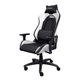 Крісло геймерське Trust GXT 714B RUYA GAMING CHAIR WHITE/BLACK (25065) - зображення 1