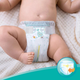 Pieluchy Pampers New Baby Mini Rozmiar 2 (4-8 kg) 43 szt (8001090910127) - obraz 6