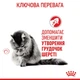 Сухий корм для дорослих котів Royal Canin HAIRBALL CARE для зменшення утворення грудочок шерсті 0,4кг - изображение 4