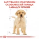 Сухий корм Royal Canin (Роял Канін) LABRADOR PUPPY для цуценят породи Лабрадор-ретривер 3кг - изображение 2