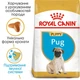 Сухий корм Royal Canin (Роял Канін) PUG PUPPY для цуценят породи Мопс 1,5кг - изображение 3