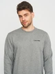 Світшот чоловічий Calvin Klein Jeans 11194. 2 L Сірий - зображення 4