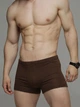Трусы-боксеры Libertine 1118 (16044) 3XL Коричневые (4821118160447) - изображение 1