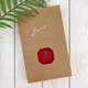 Блокнот Zorrov Vintage "Скрипичный ключ" 80 листов со сменными блоками красный (00170000000145413) - изображение 4