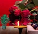 3D Фото Шпалери PHOTODECOR "Три червоні троянди над водою" - зображення 5