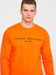 Свитшот мужской Tommy Hilfiger 11201.4 XL Оранжевый - изображение 4