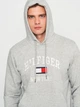 Худи мужское Tommy Hilfiger 11209.2 S Серое - изображение 4