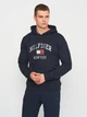 Худи мужское Tommy Hilfiger 11209.3 S Темно-синее - изображение 1