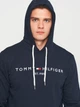 Худи мужское Tommy Hilfiger 11210.3 S Темно-синее - изображение 4