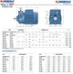 Насос вихревой Pedrollo PKm-60-C, 0.37 kWh (41PNK60A1) Италия - изображение 5