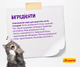 JOSERA Culinesse 10 кг - Корм для вибагливих котів - изображение 4