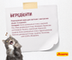 JOSERA Kitten 10 кг - Корм з лососем для кошенят та кішок - изображение 4