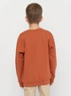 Подростковый свитшот Coccodrillo Craft Sport Junior ZC2132101CRJ-018 146 см Коричневый (5904706039003) - изображение 2