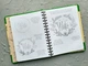 Sketchbook. Малюємо квіти. Експрес-курс - укр. - изображение 9