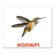 Картки Домана "Птахи" українською - изображение 11