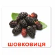 Ламіновані картки Домана "Ягоди" українською - изображение 12