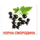 Ламіновані картки Домана "Ягоди" українською - изображение 9