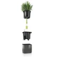 Розумний вазон Lechuza Green Wall Home Kit Glossy прямокутний 40 (48 x 15 x 14 см) яскравочервоний блискучий (13525) - зображення 3